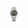 Cavalieri Day Olive